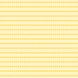 Eyelet Lace Tank in Yellow Floral Stripe