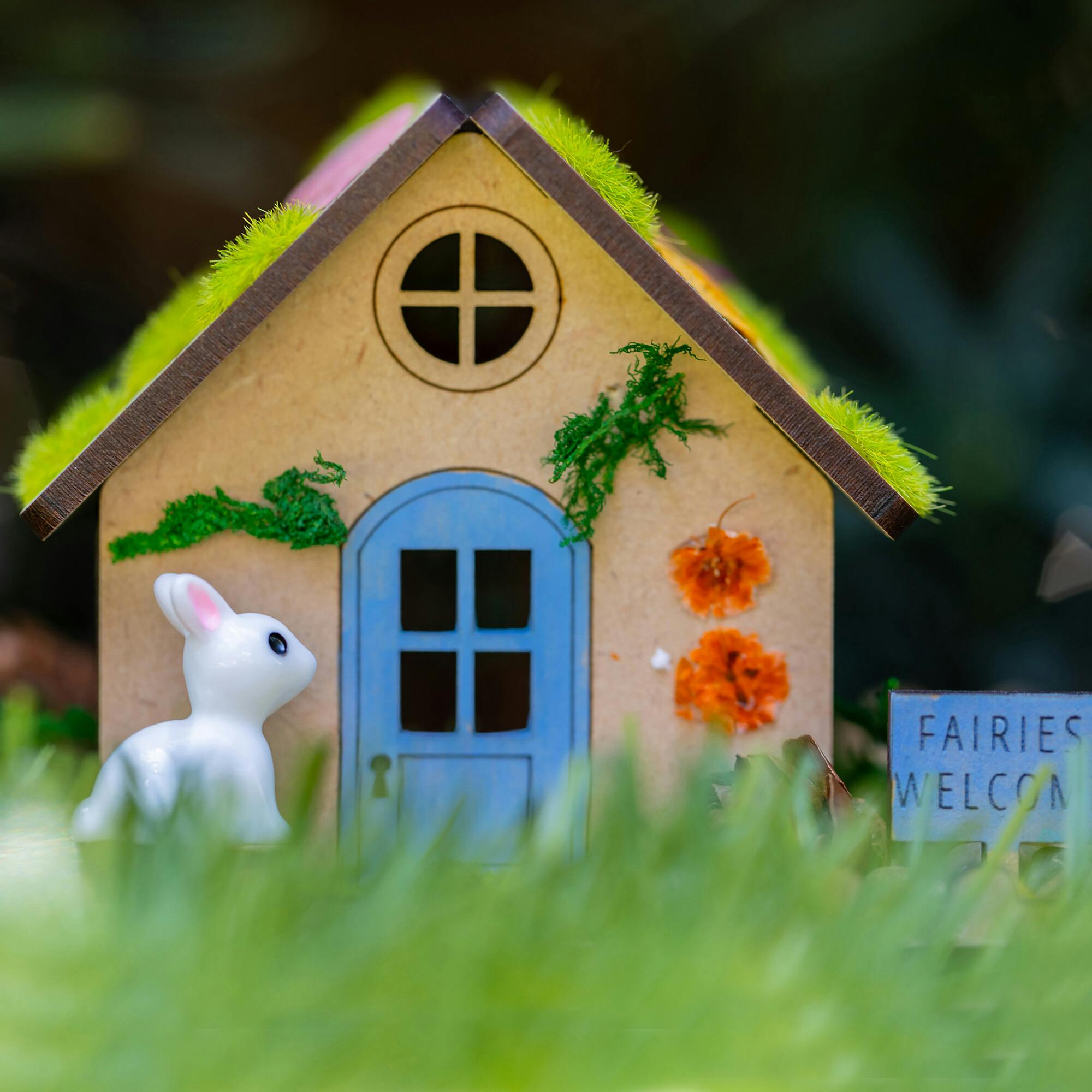 Fairy House + Garden