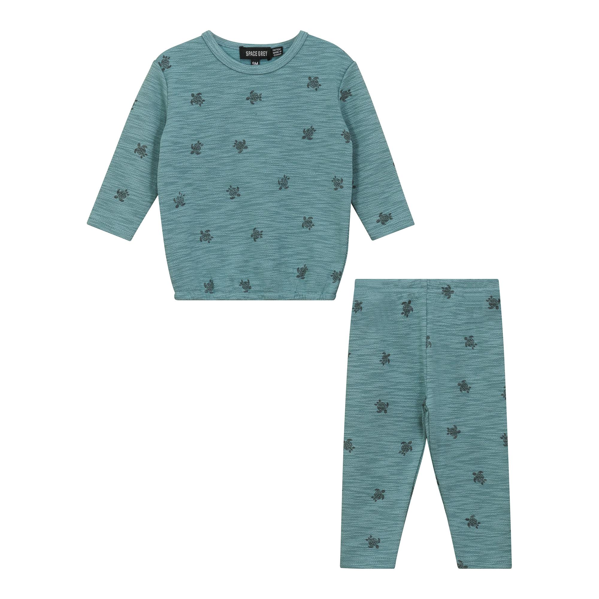 Butterfly Turtle Printed Elastic Waist Long Sleeve Top and Pants Two Piece Set
