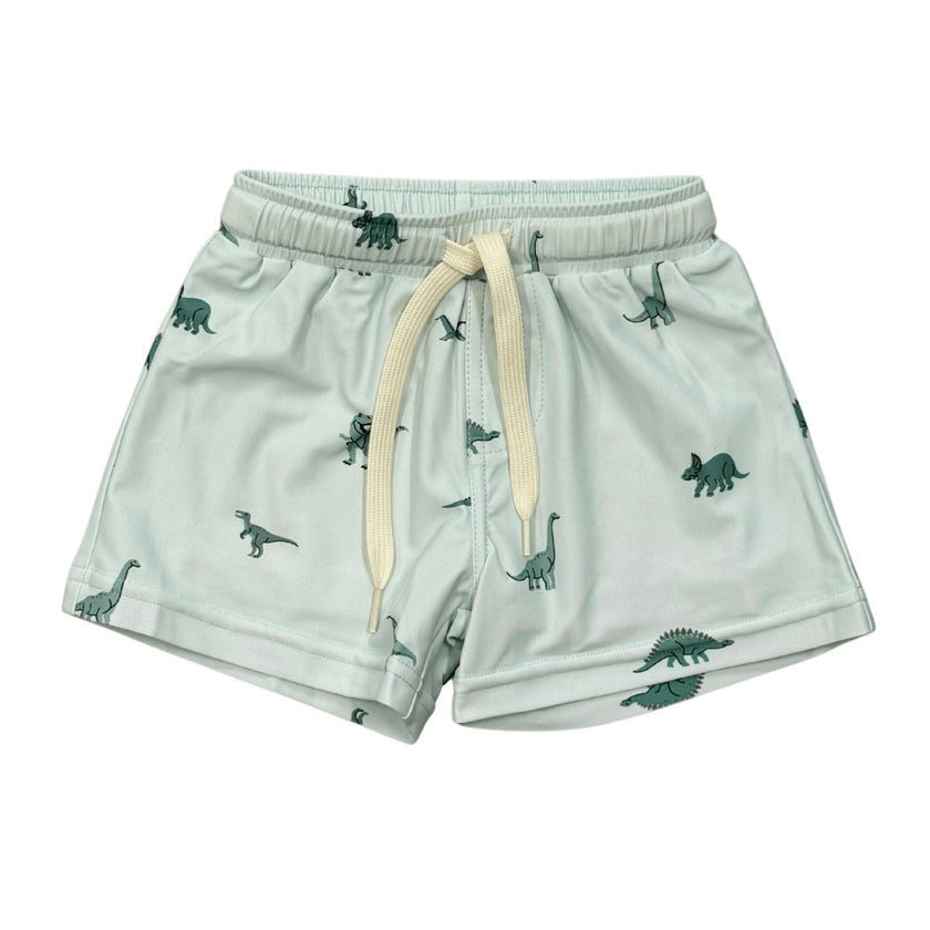 Boys Swim Shorts in Dinosaur