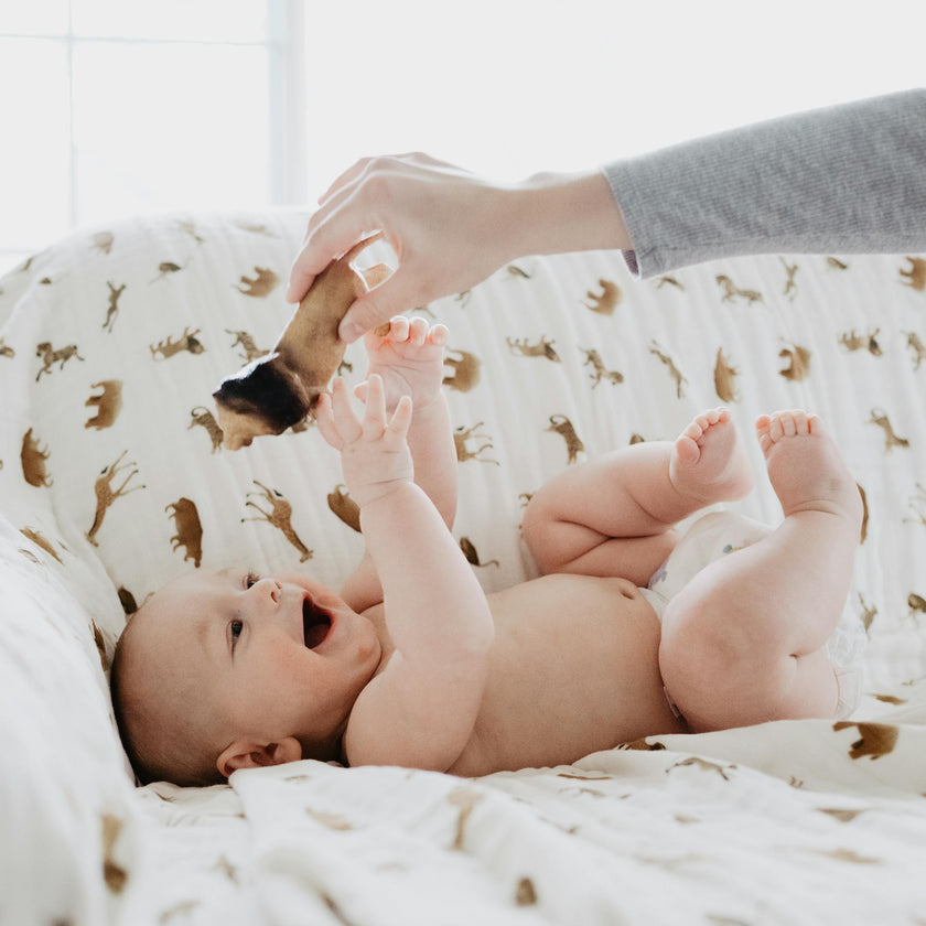 Organic Cotton Muslin Quilted Throw - Animal Crackers