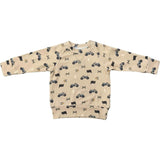 Boy's Raglan Sweatshirt