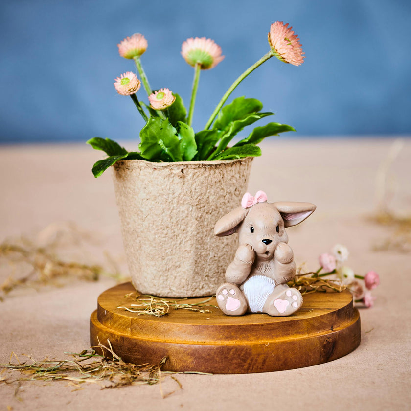 Bonnie Hare