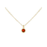 January Birthstone Necklace