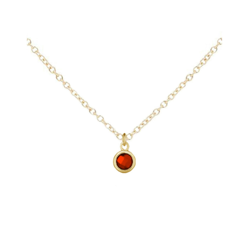 January Birthstone Necklace