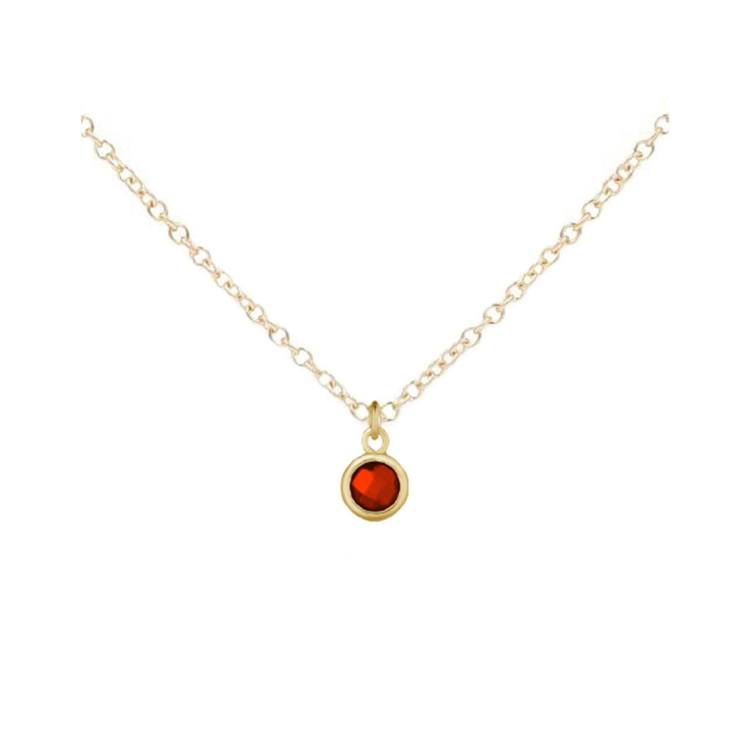 January Birthstone Necklace