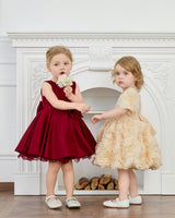 Burgundy Canyonelle Bow Waist Dress