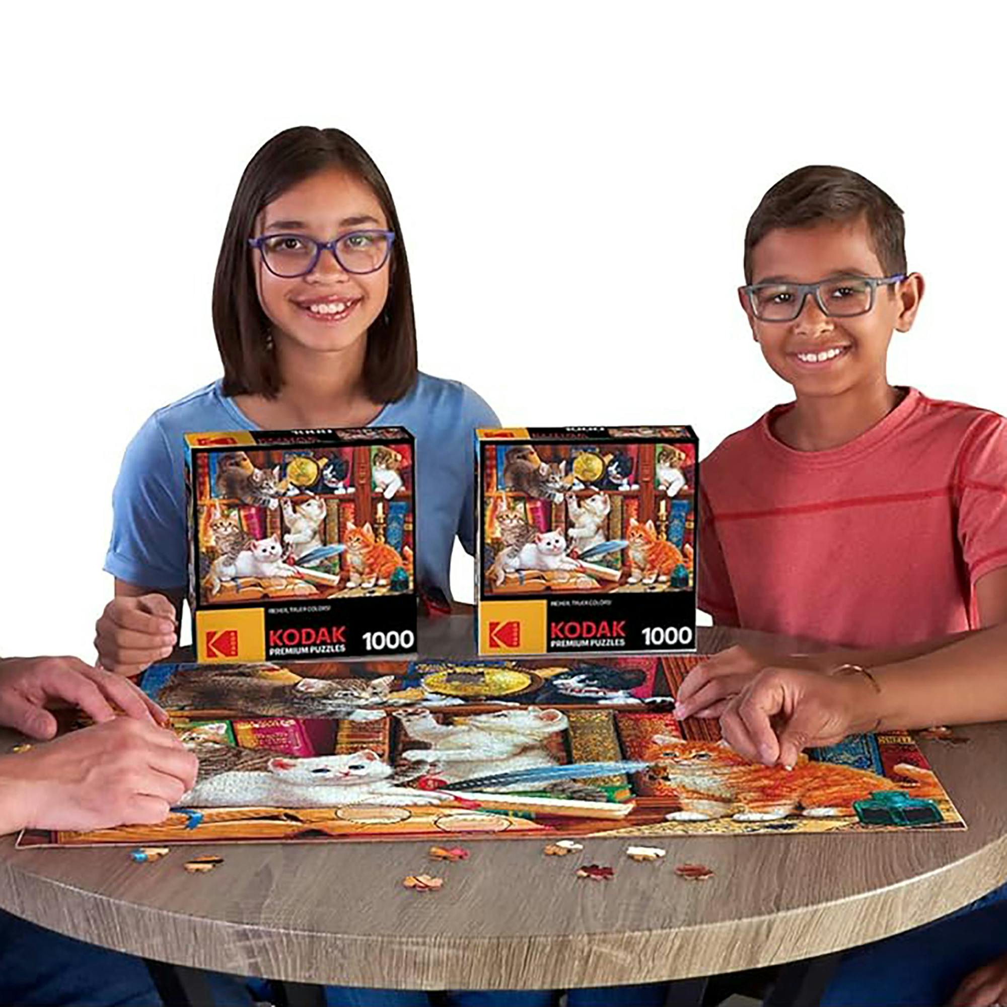 RoseArt: Library Mischief - 1000 Piece Puzzle