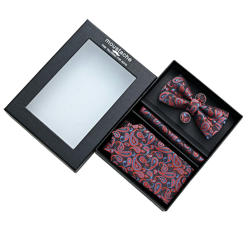 Red and Blue Paisley Tie Set
