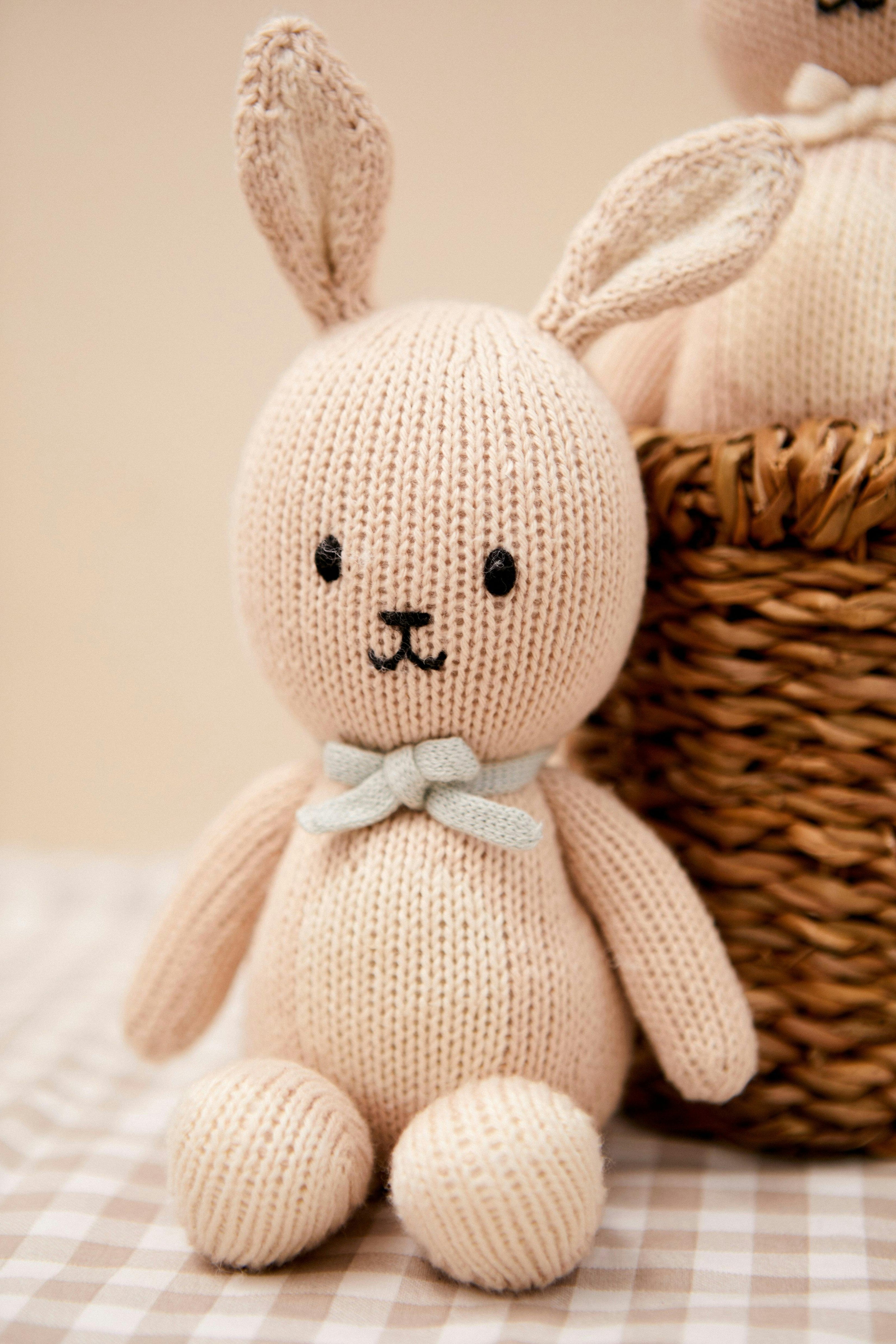 BABY BUNNY BOY 8