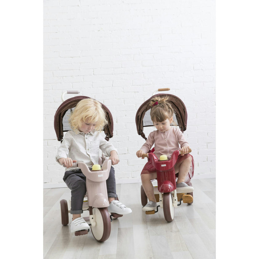 3-in-1 Folding Tricycle