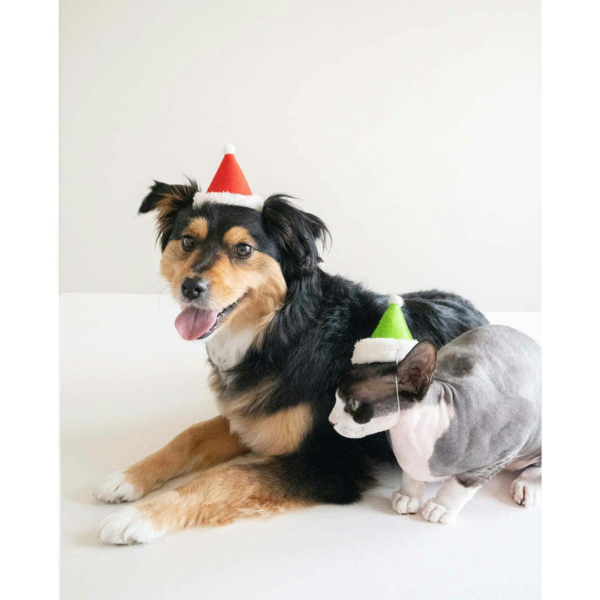 HOLIDAY HAT