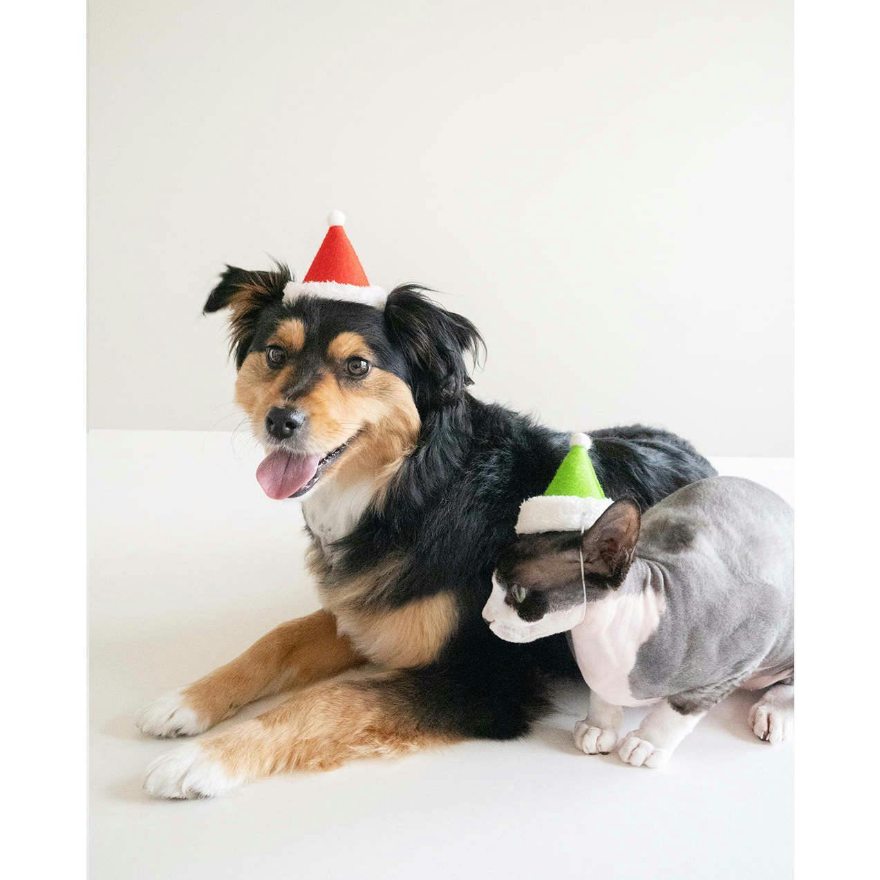 HOLIDAY HAT