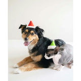 HOLIDAY HAT