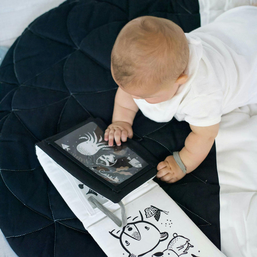 Developmental Bundle for Baby - Safari