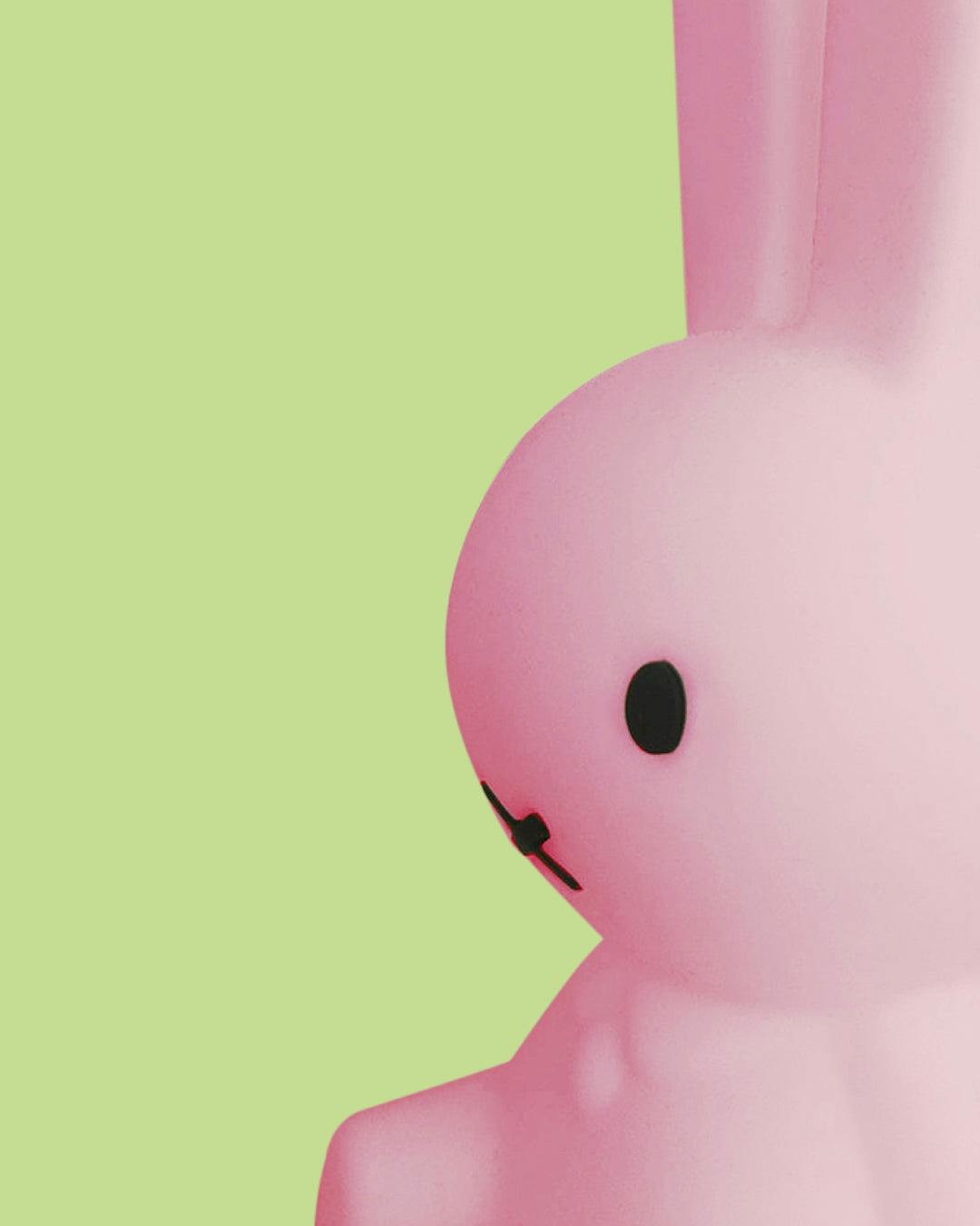 Mr Maria Miffy Colourful Surprise Bundle of Light