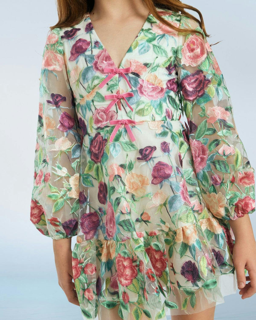 Rachelle Embroidered Mini Dress