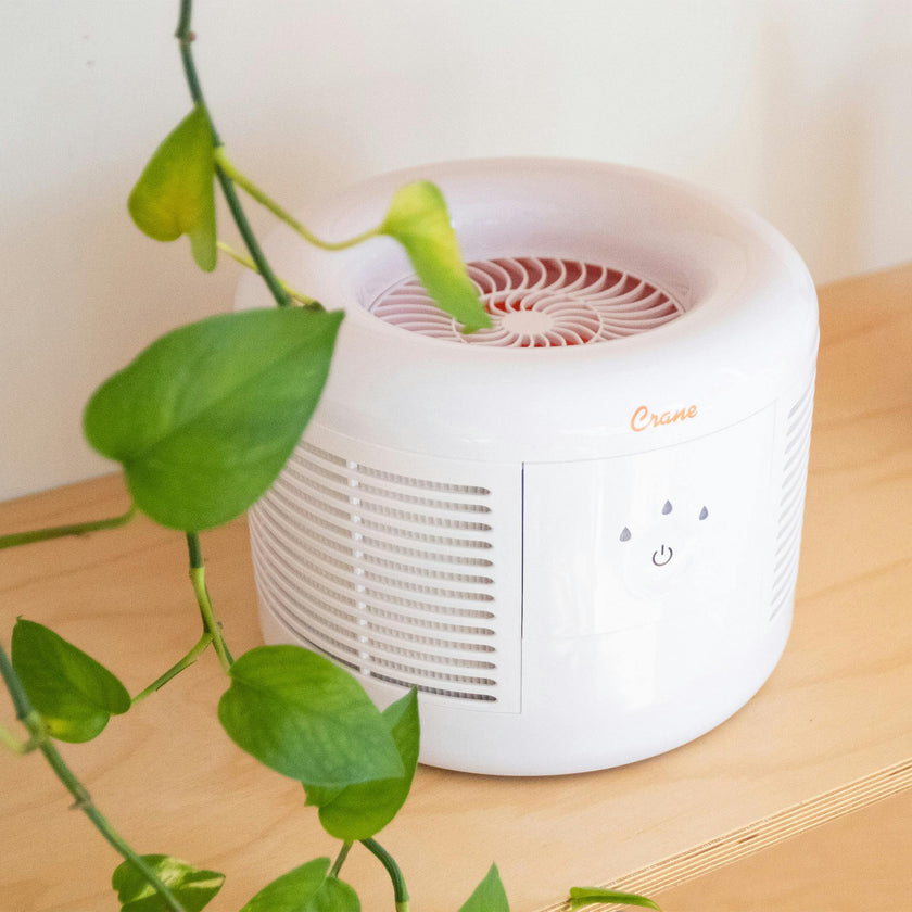 Air Purifier with HEPA, For Small Rooms