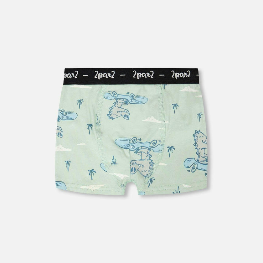 Organic Cotton Boxer