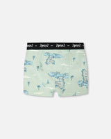 Organic Cotton Boxer
