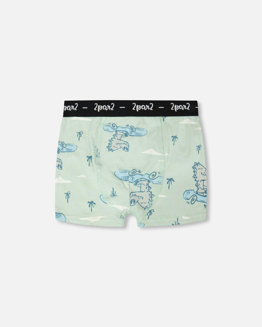 Organic Cotton Boxer