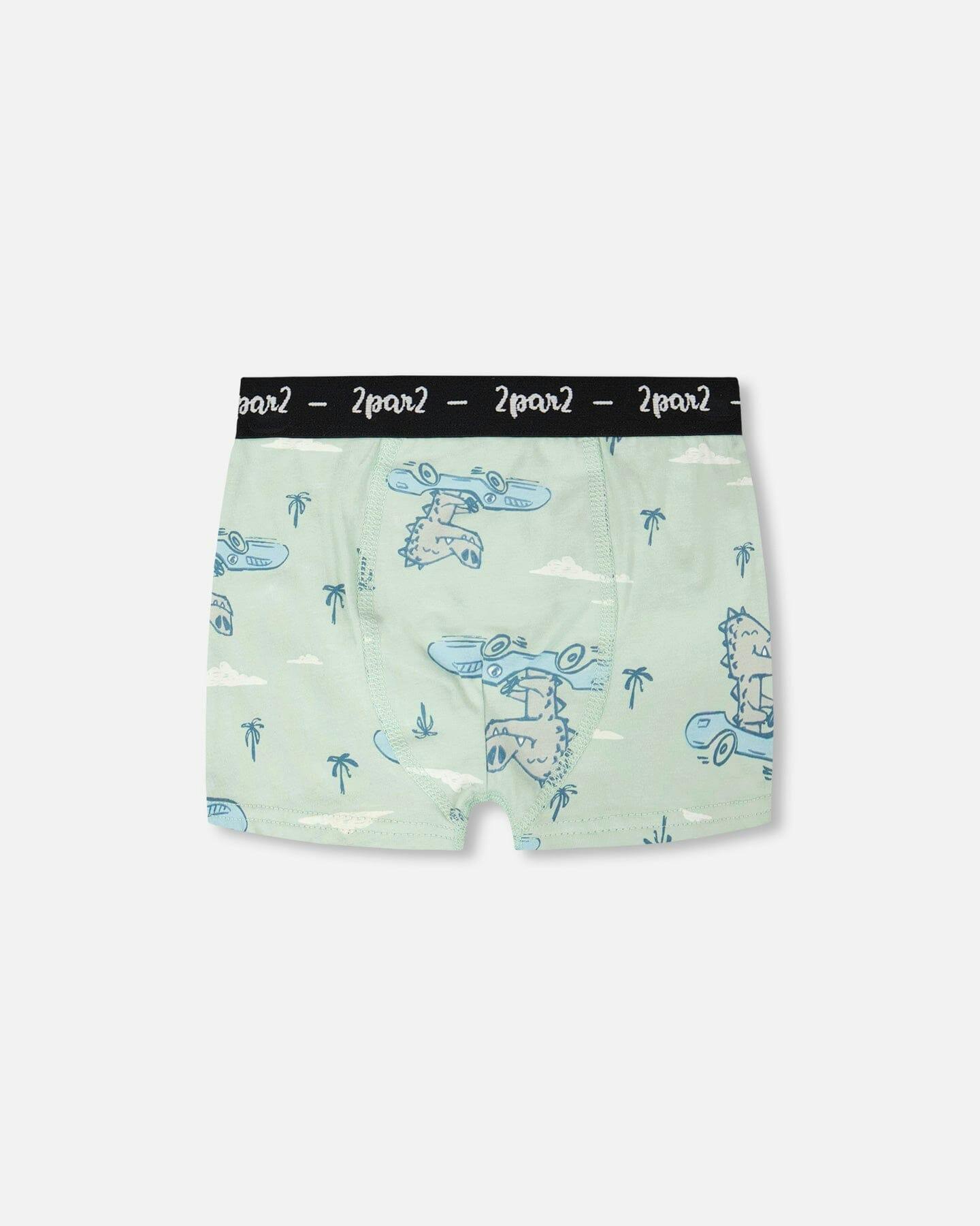 Organic Cotton Boxer