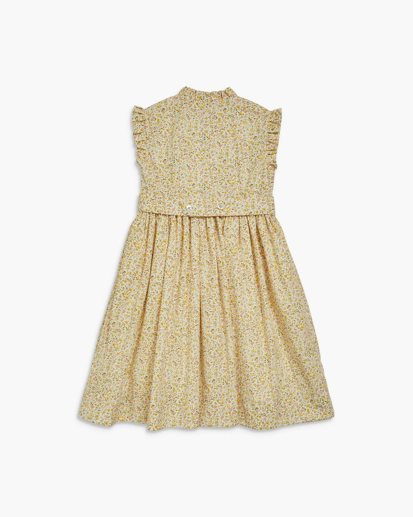 Hydrangea Dress Yellow Green Floral