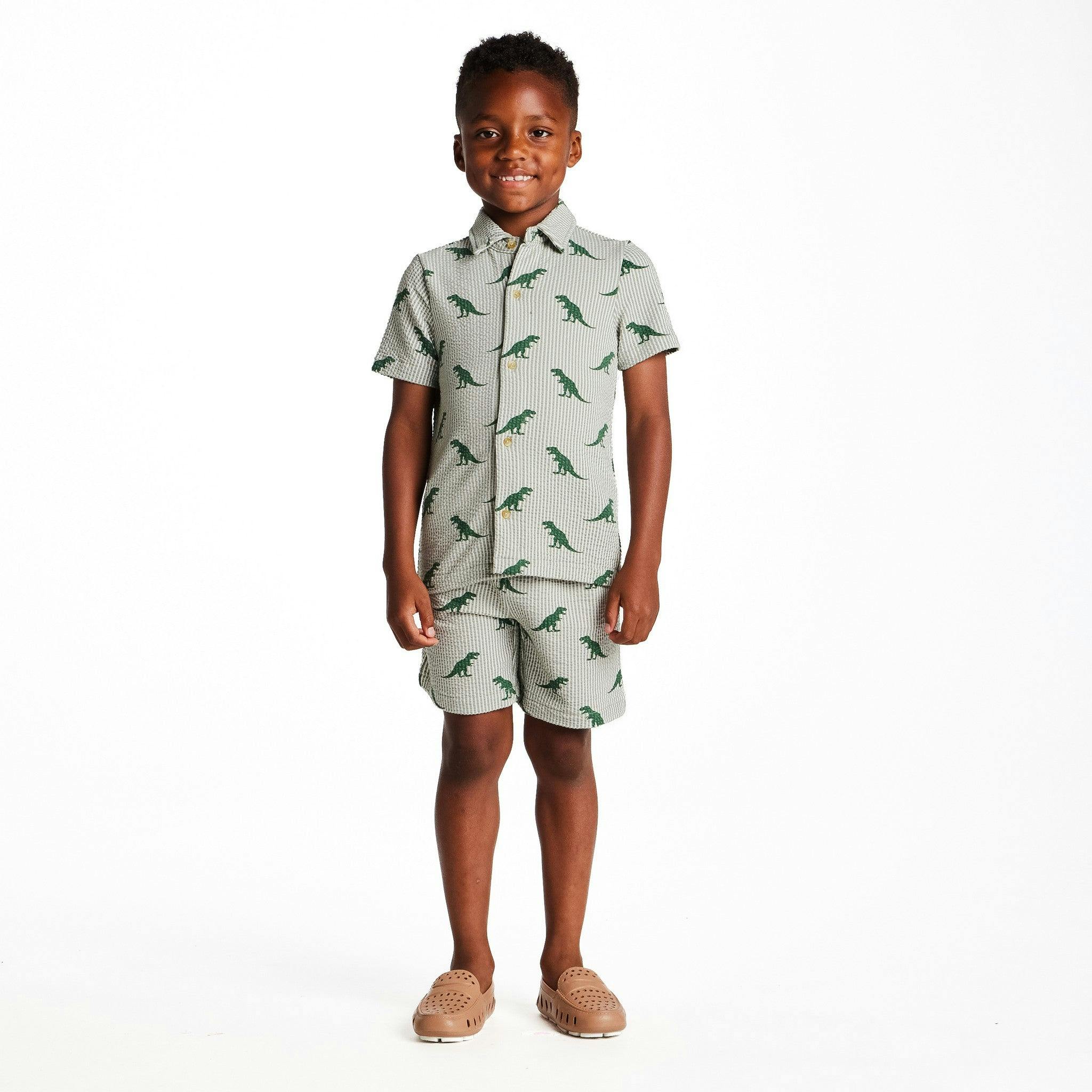 Boys Short Sleeve Cabana Set | Green Stripe Dino