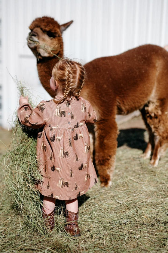 Corduroy Dress & Bloomer