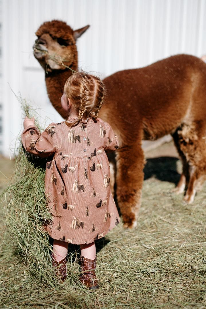 Corduroy Dress & Bloomer