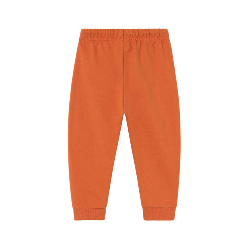 Baby Tracksuit with 2 Pants