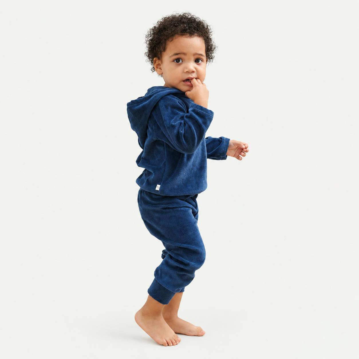 Velour Hoodie and Jogger Set
