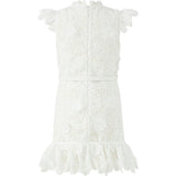 Lucinda Embroidered Mini Dress