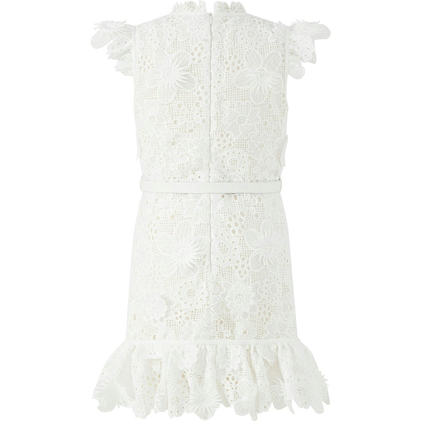 Lucinda Embroidered Mini Dress