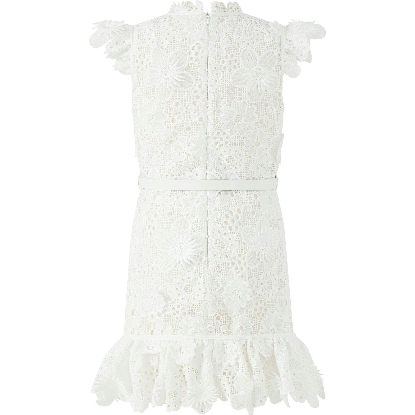 Lucinda Embroidered Mini Dress
