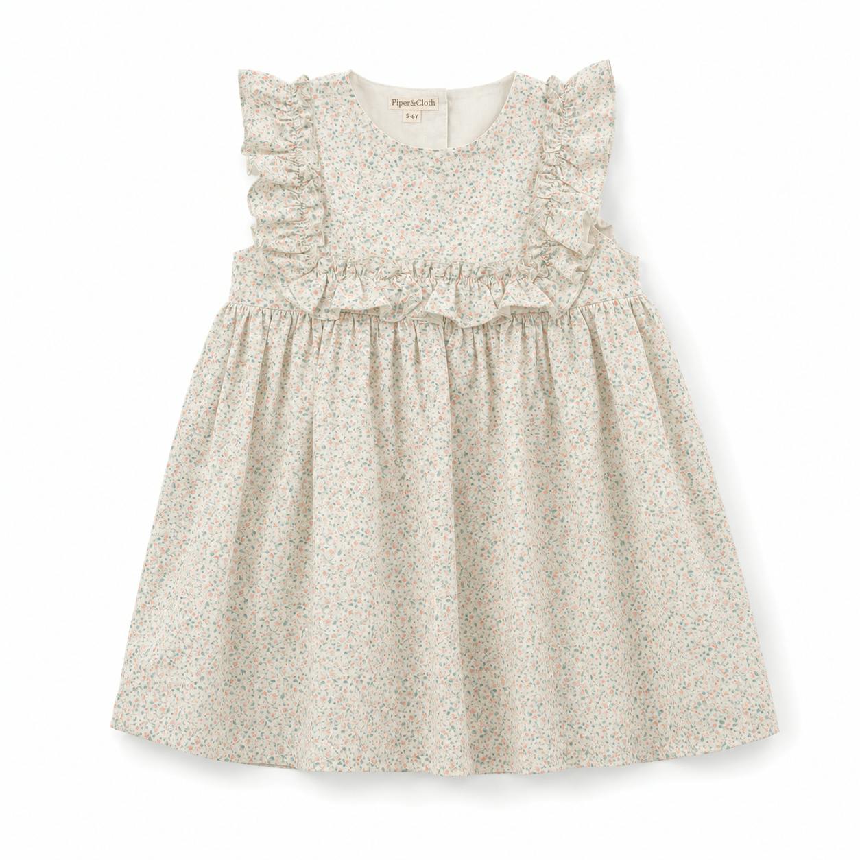 Neomi Dress | Confetti Print