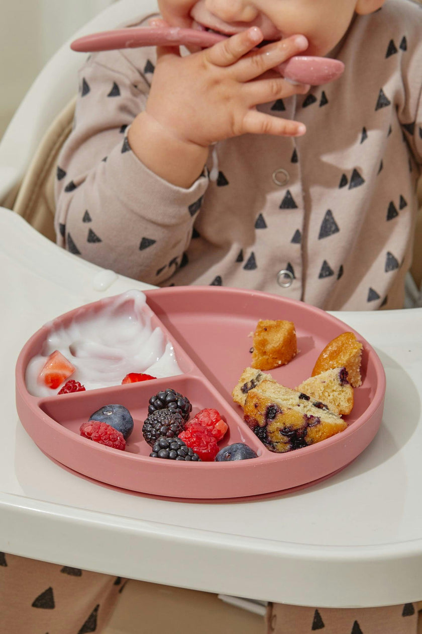 Silicone Suction Plates