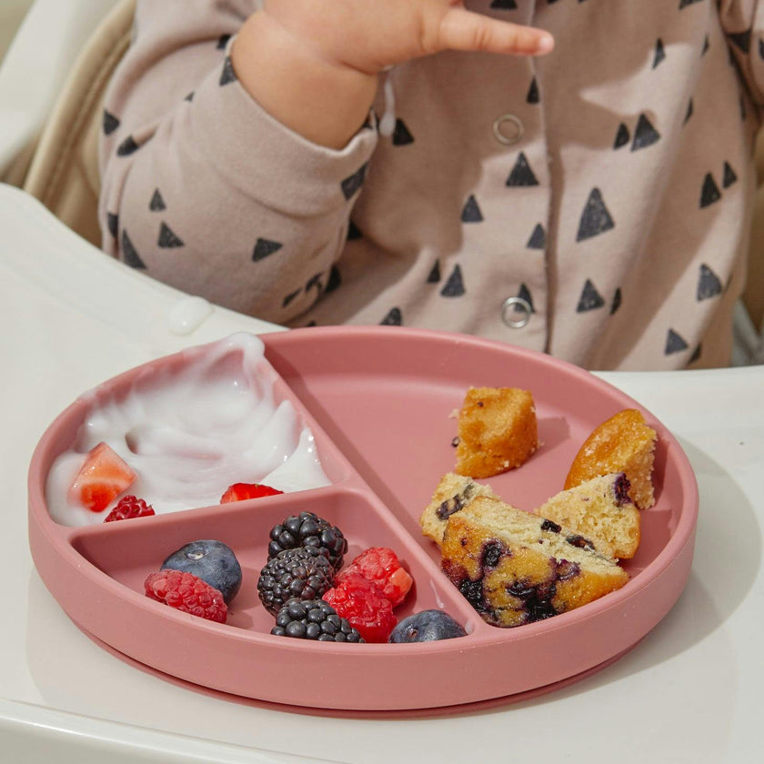 Silicone Suction Plates