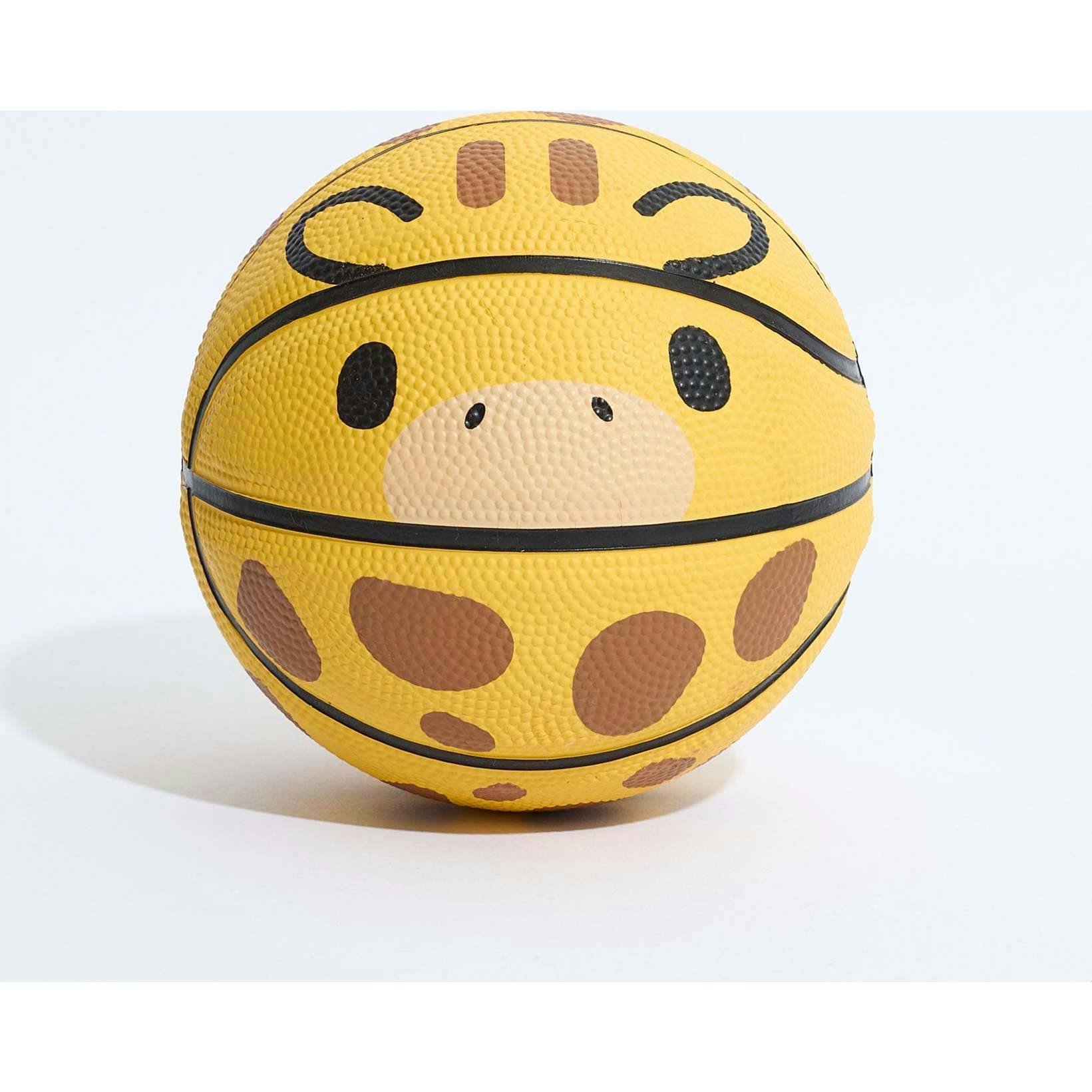Geoff Mini Basketball (17
