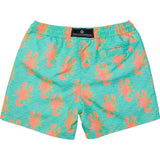 Sustainable Comfort Lined Drawstring Swim Short
