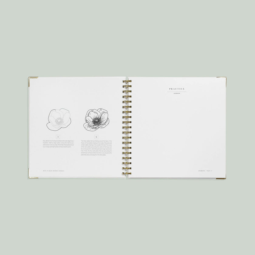 How to Draw Modern Florals