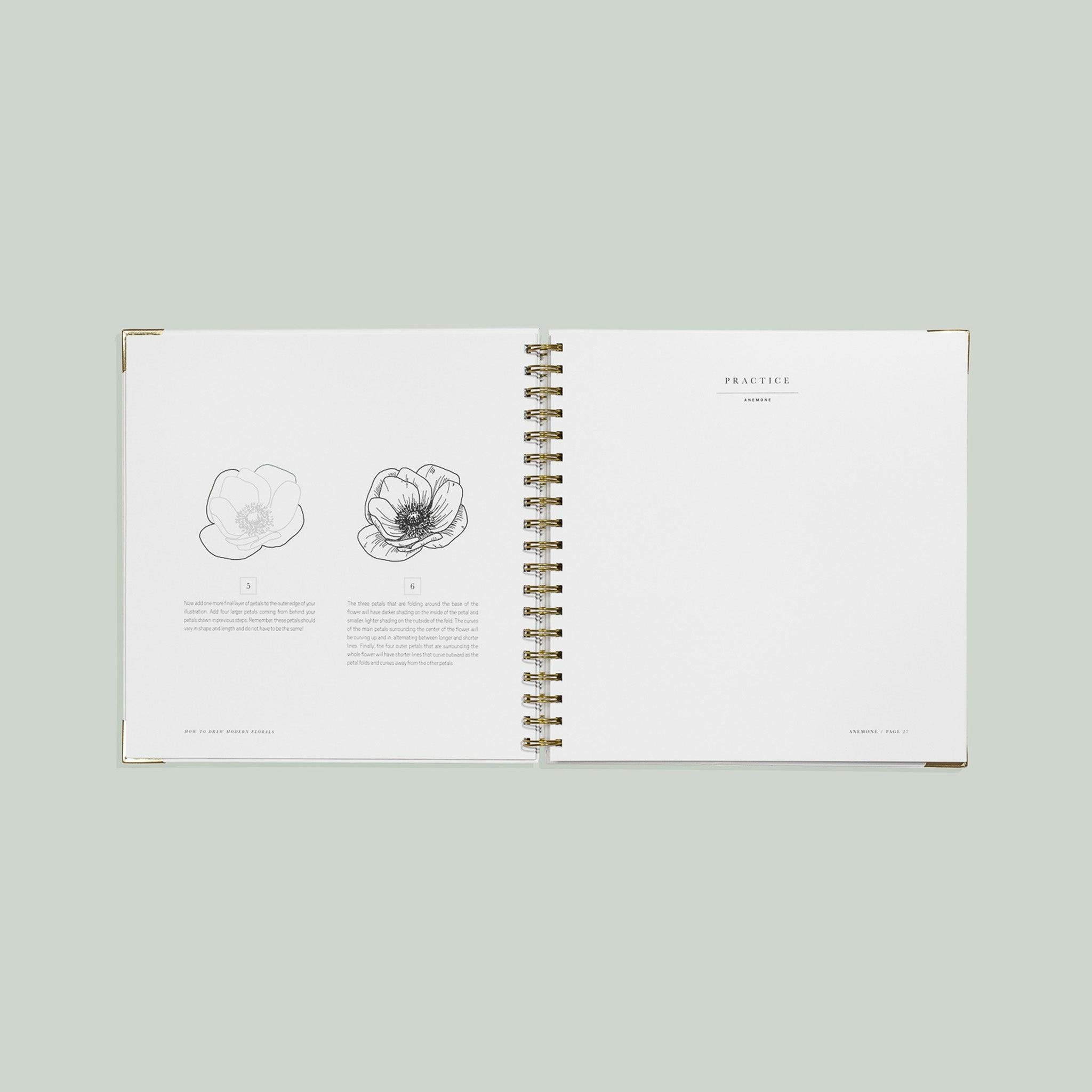 How to Draw Modern Florals