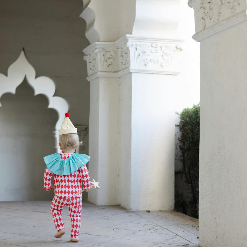 Harlequin Clown Costume