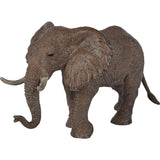 Animals Set: Safari - 5pc