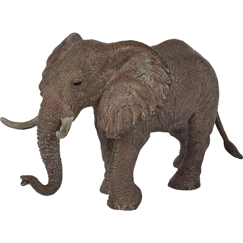 Animals Set: Safari - 5pc