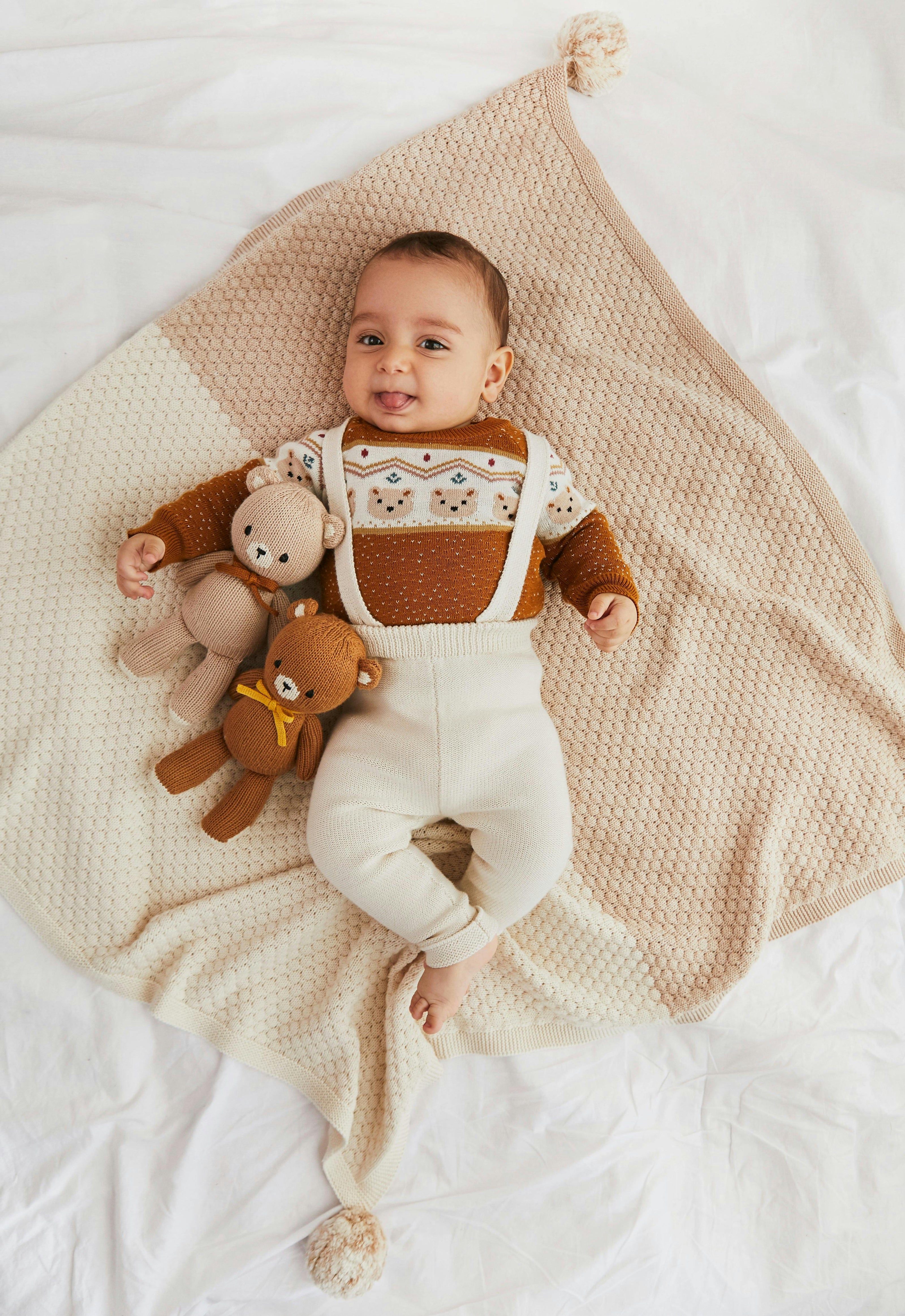 The Baby bear 8.5