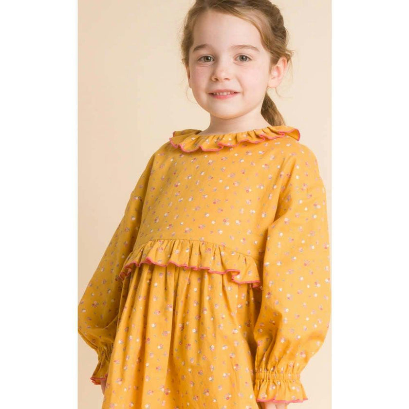 Ruffle Collar Long Sleeve Dress