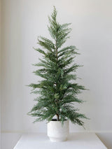 2' Faux Cedar Tree, Set of 2