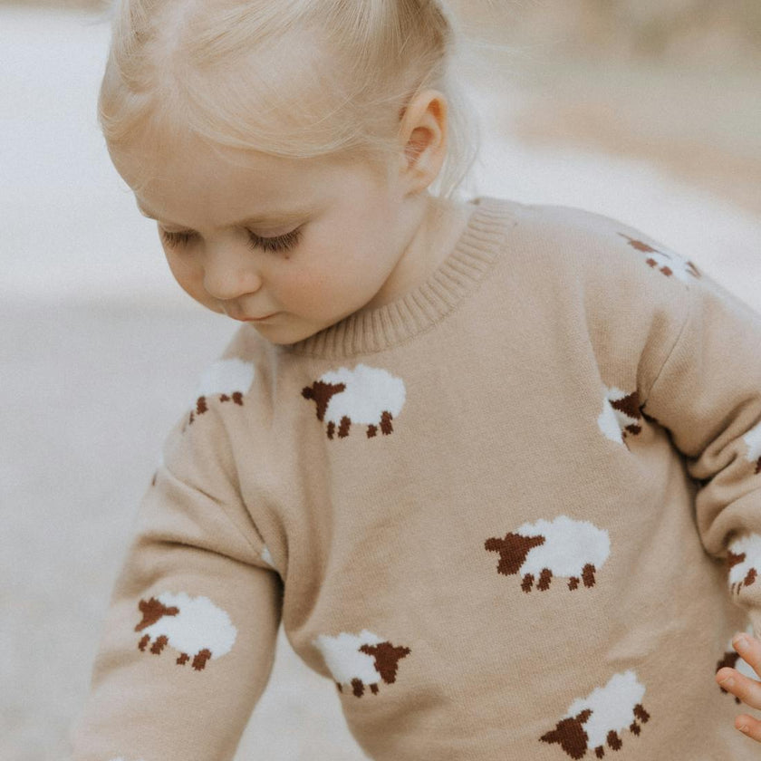 Baa Baa Sheep Jacquard Sweater