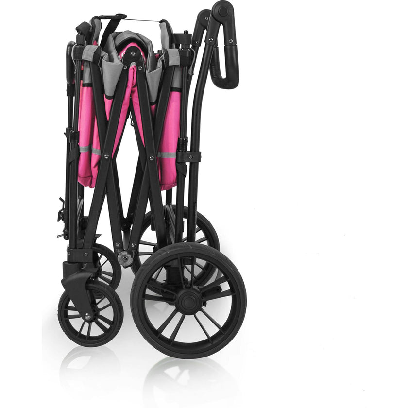 Pull & Push Double Stroller Wagon 2 Seater